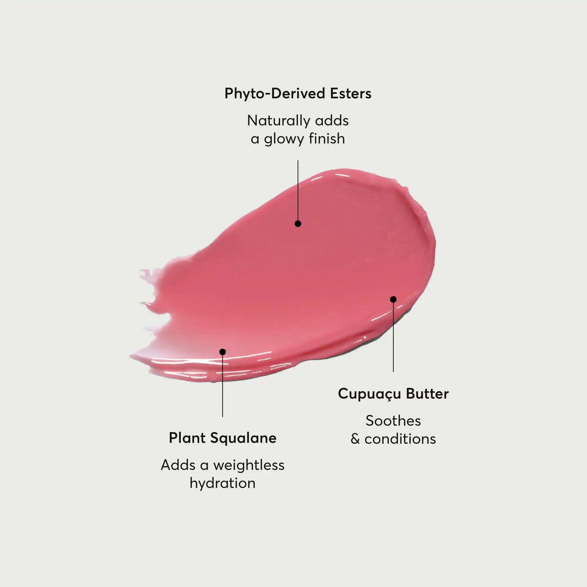 phyto-glow-lip-balm-petal-t8 NATR-60067-Alt-Images-Phyto-Glow-Lip-Balm-Petal-01.webp