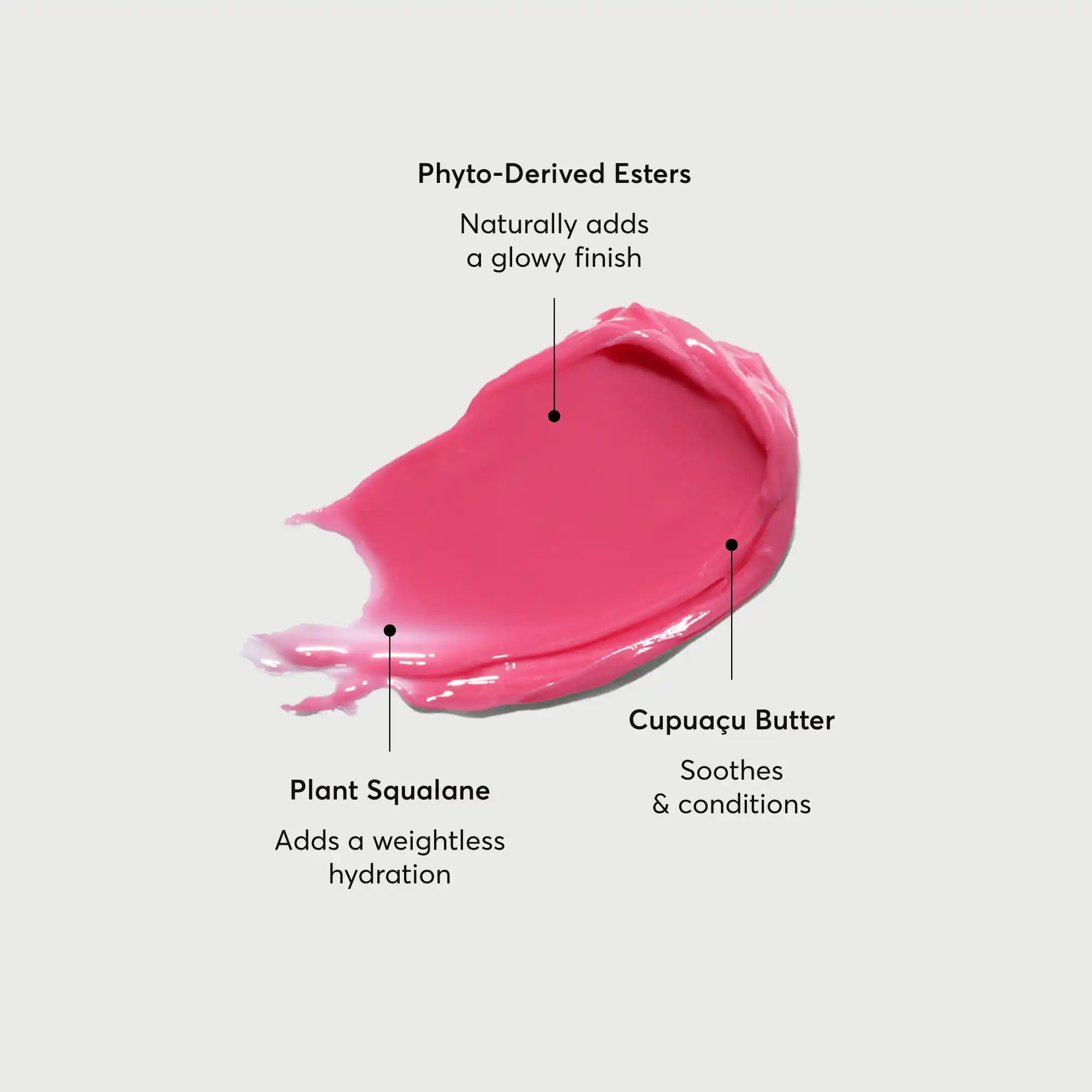 phyto-glow-lip-balm-camellia-n3 NATR-60075-Alt-Images-Phyto-Glow-Lip-Balm-Camellia-01.webp